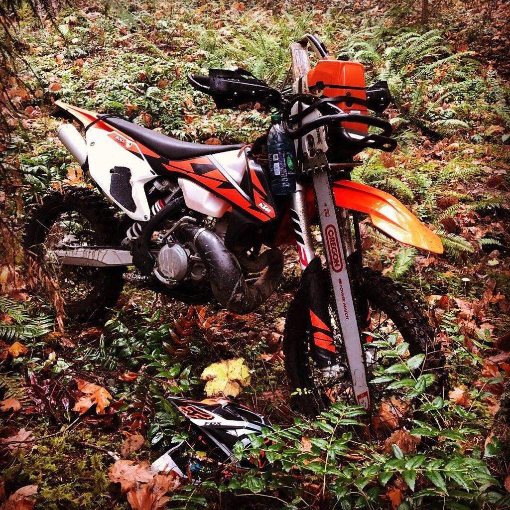17 KTM with 36 Stihl 046