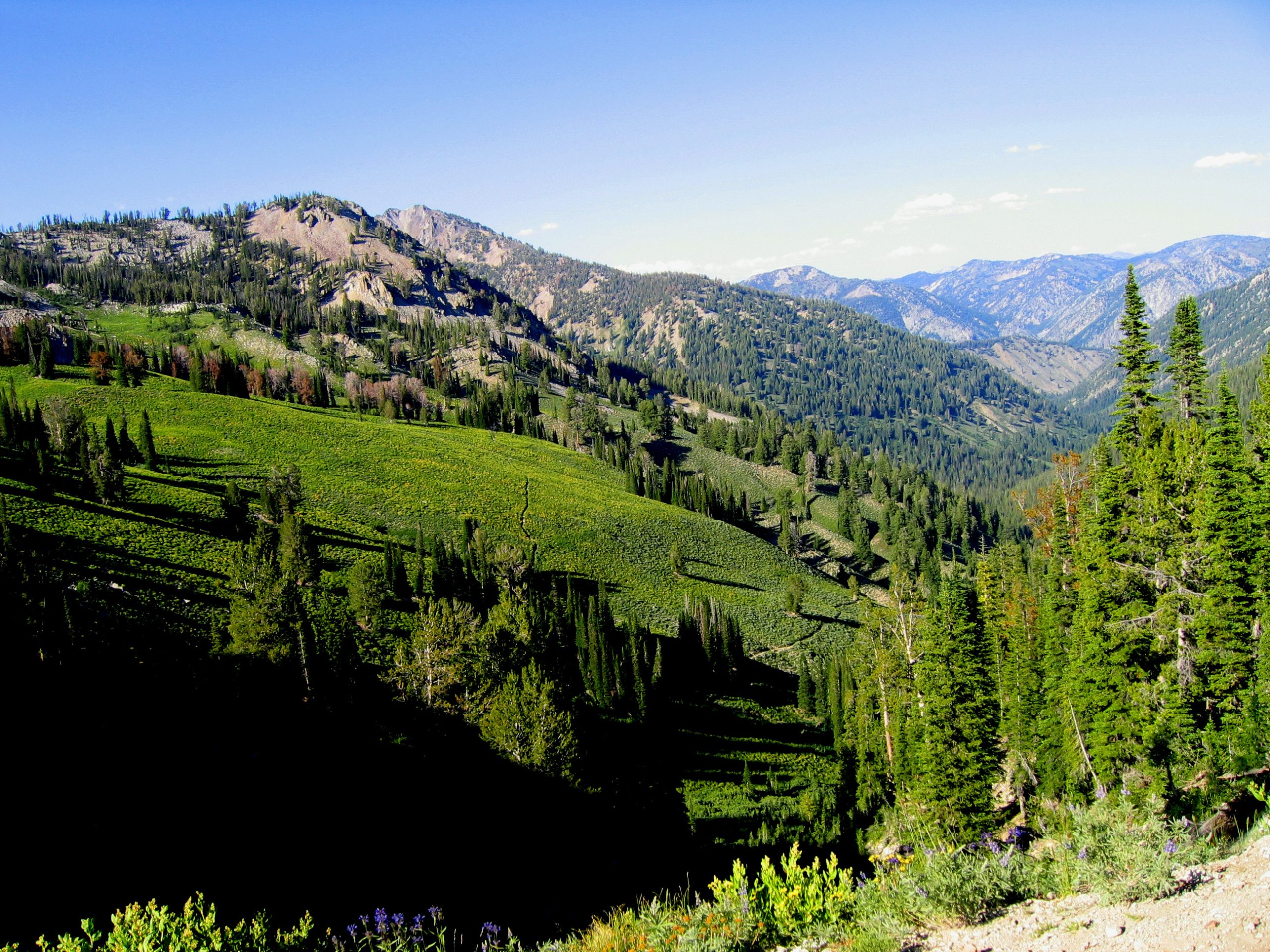 Bear Creek Link Trail