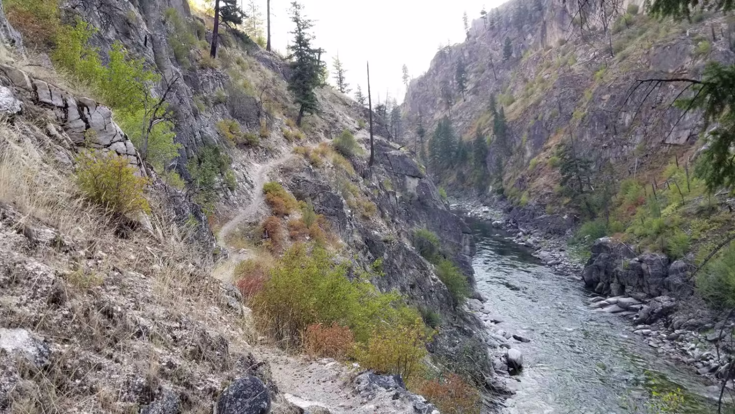 South Fork Salmon River Trail